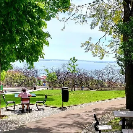 Feira Da Ladra Comfy Premium Appartement Lissabon