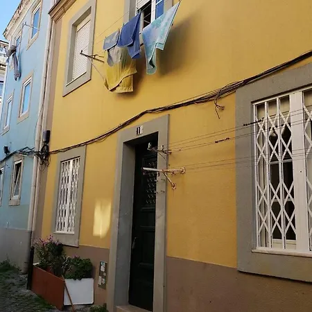 Daire Feira Da Ladra Comfy Premium